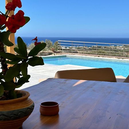 Mediterranean View Villa Makrýgialos Extérieur photo